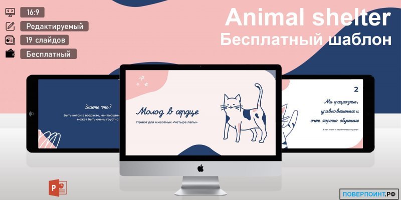 Animal shelter - розовая и синяя готовая презентация о помощи животным для Power Point