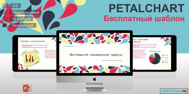 Petalchart - Бизнес шаблон с диаграммами