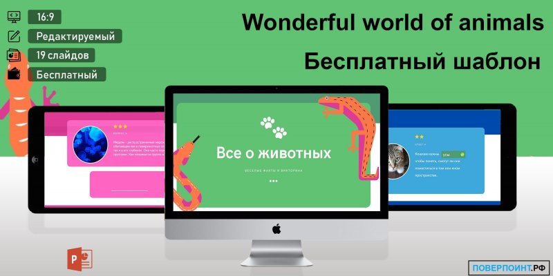 Wonderful world of animals - зеленая и белая современная викторина в Power Point