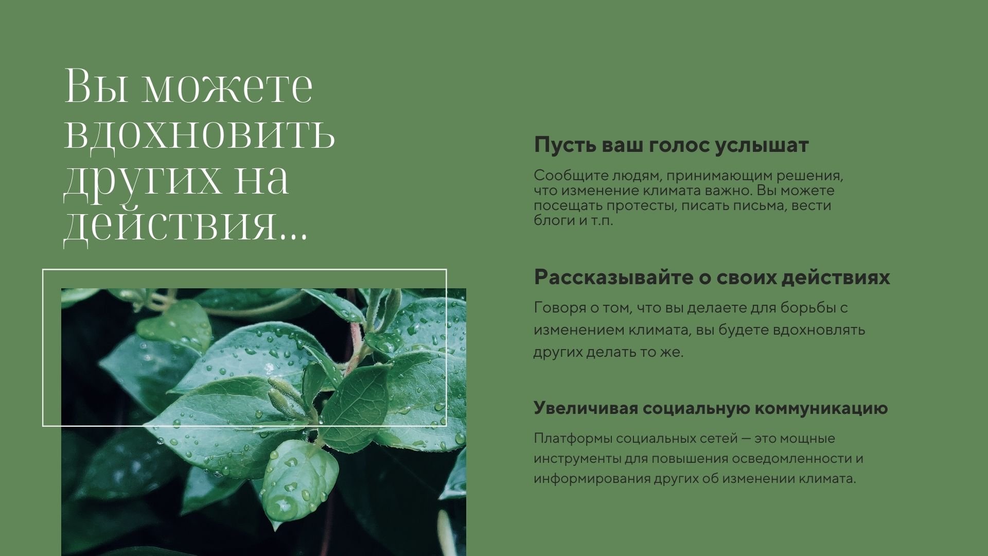 Careful attitude - корпоративная презентация об экологии в Power Point