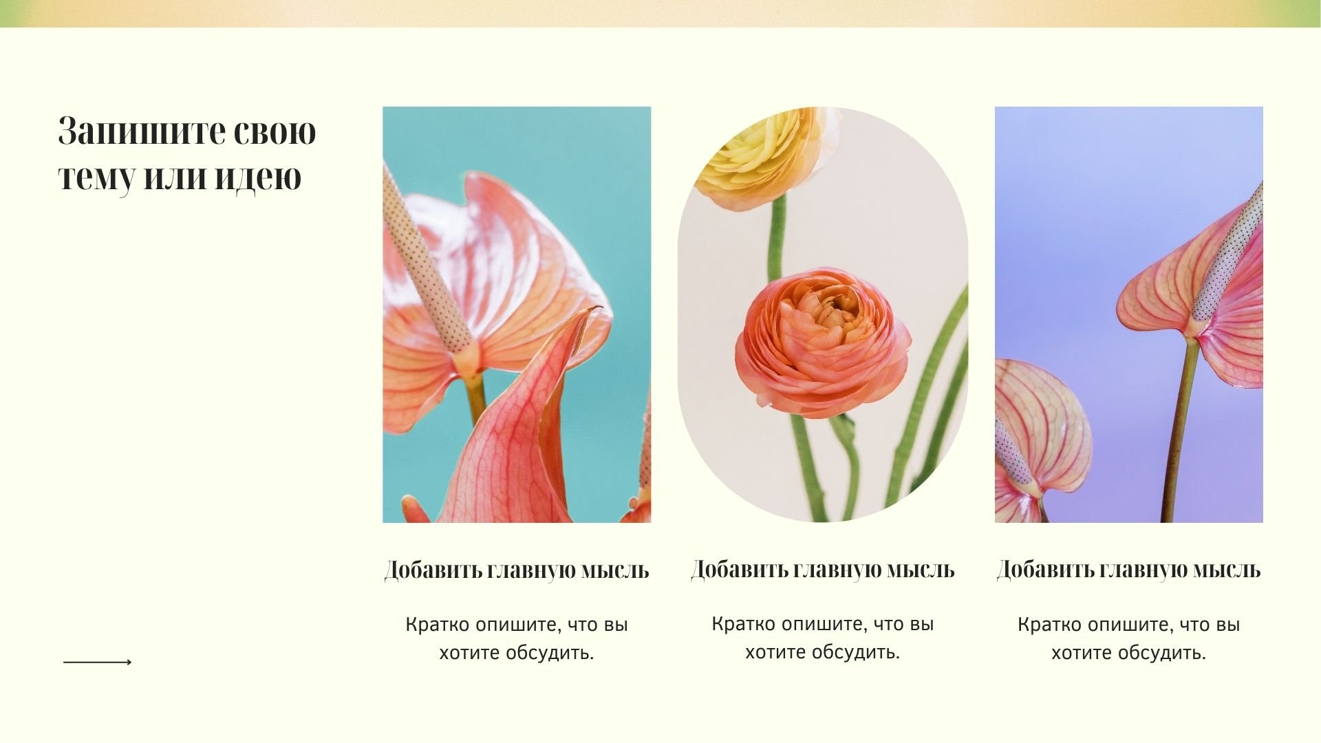 Gradient pattern - разноцветный градиентный шаблон с изображениями цветов для Power Point